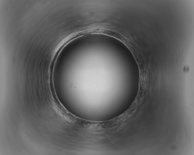 X0000114000100200910021325