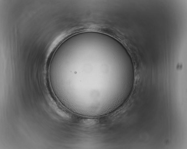 X0000114000102200910021325