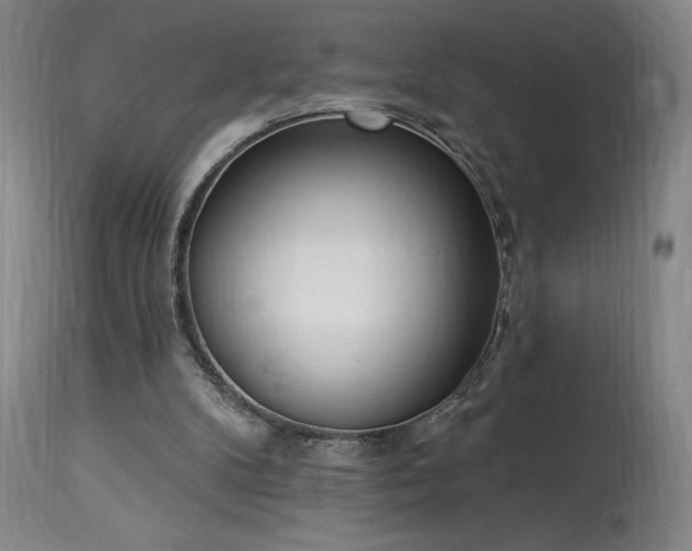 X0000114000104200910021325