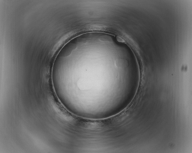 X0000114000107200910021325
