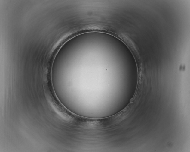X0000114000108200910021325
