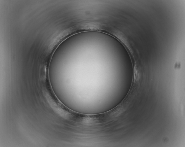 X0000114000109200910021325