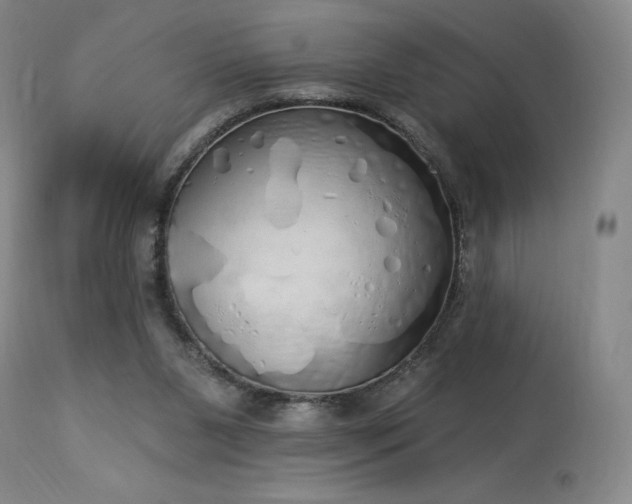 X0000114000111200910021325