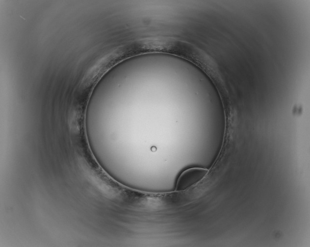 X0000114000114200910021325