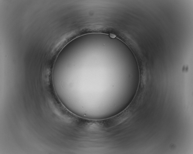X0000114000115200910021325