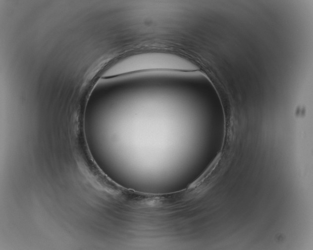 X0000114000116200910021325