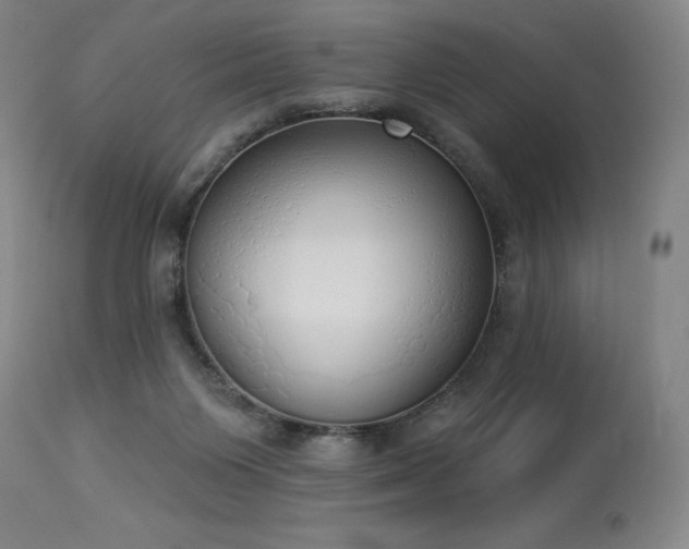 X0000114000119200910021325