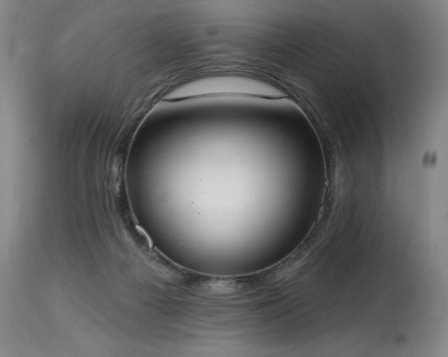X0000114000121200910021325