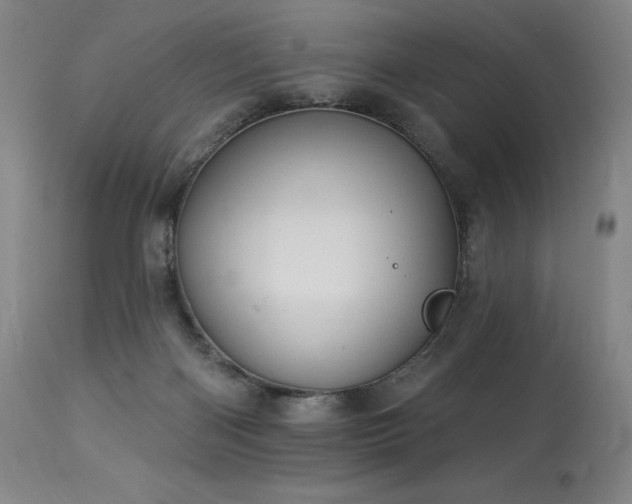 X0000114000122200910021325