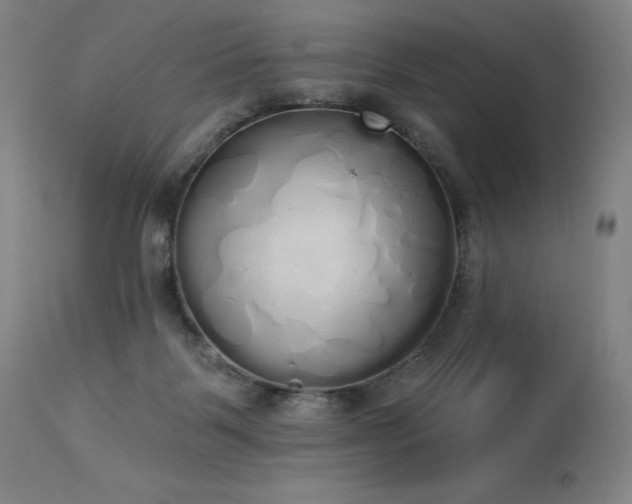 X0000114000123200910021325