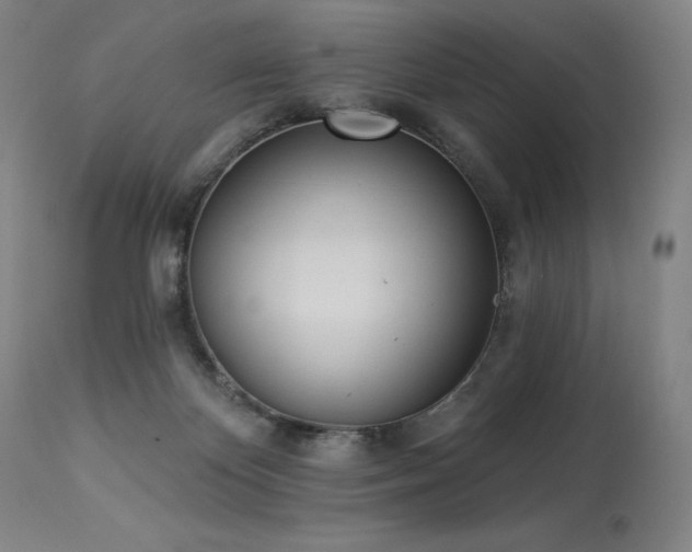 X0000114000124200910021325