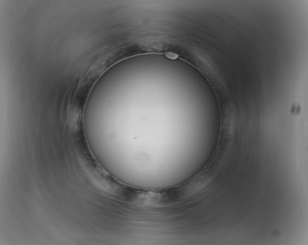 X0000114000125200910021325