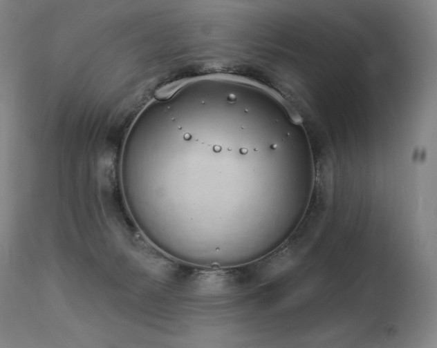 X0000114000127200910021325