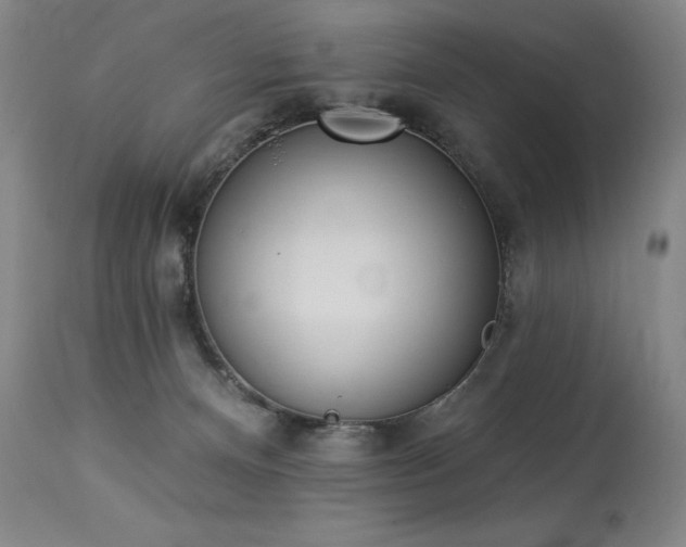 X0000114000128200910021325