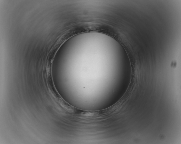 X0000114000129200910021325