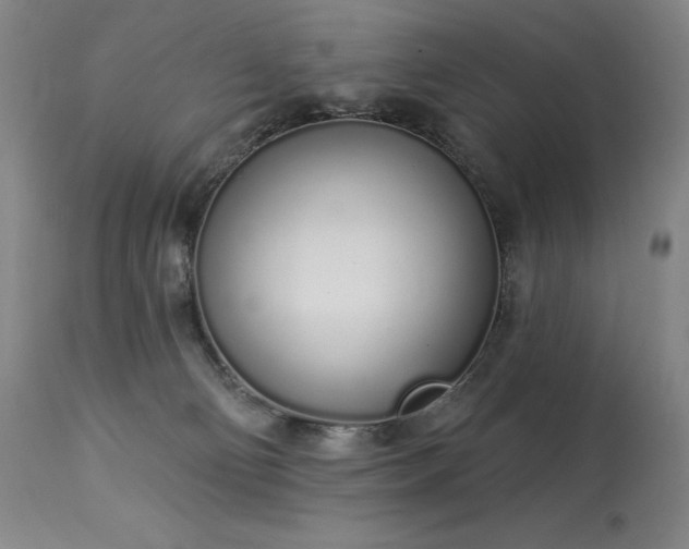 X0000114000130200910021325
