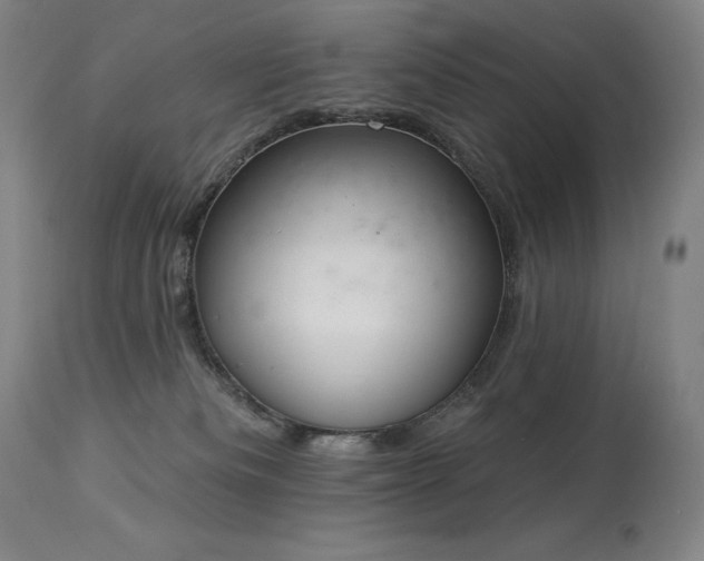 X0000114000133200910021325