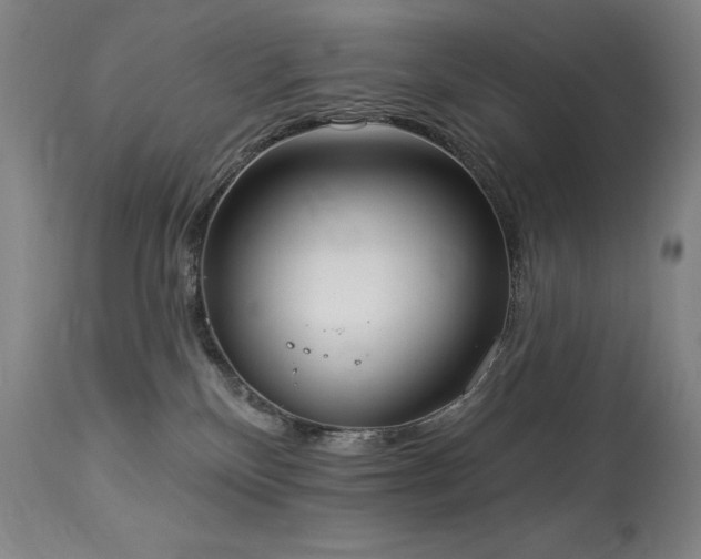 X0000114000136200910021325