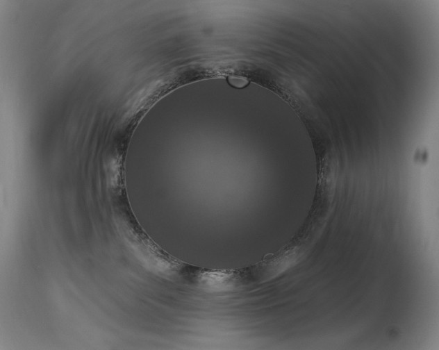 X0000114000139200910021325