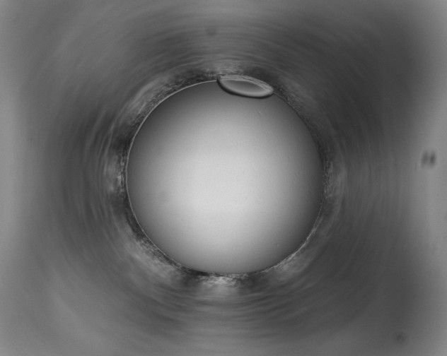 X0000114000140200910021325