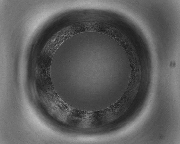 X0000114000143200910021325