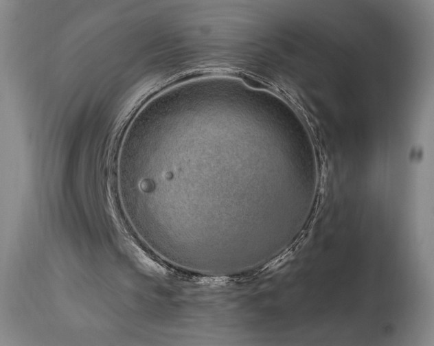X0000114000145200910021324