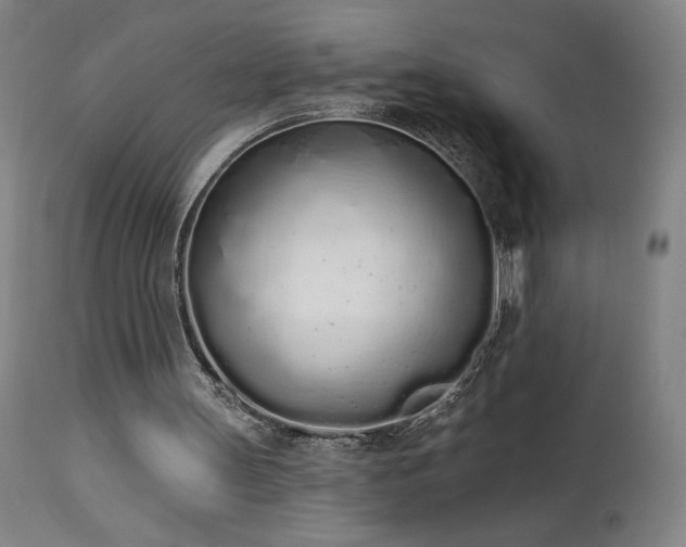 X0000114000147200910021324