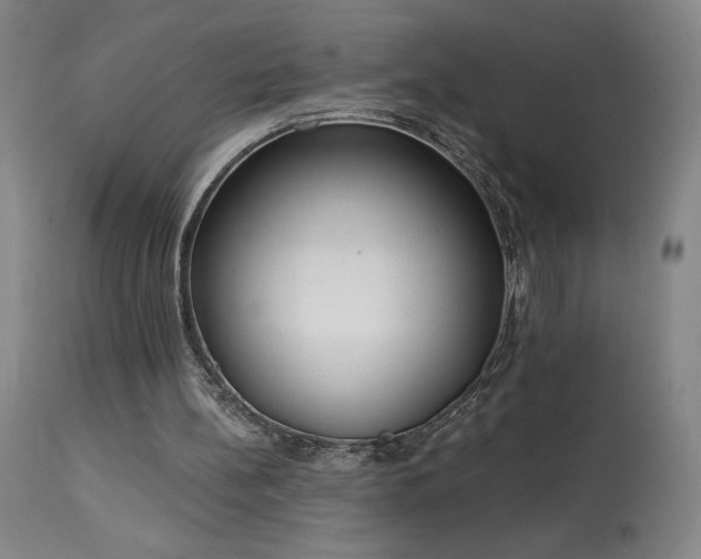 X0000114000148200910021324