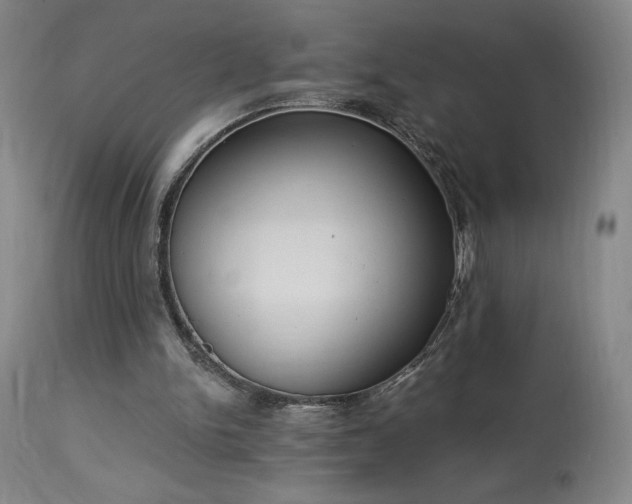 X0000114000150200910021324