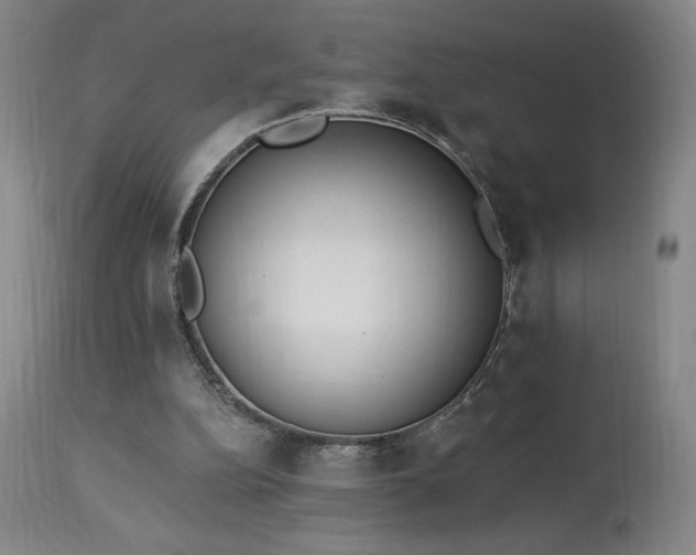 X0000114000152200910021324