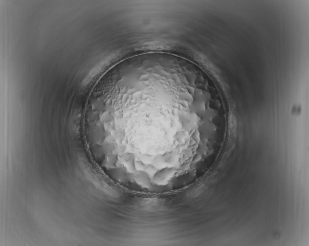 X0000114000153200910021324