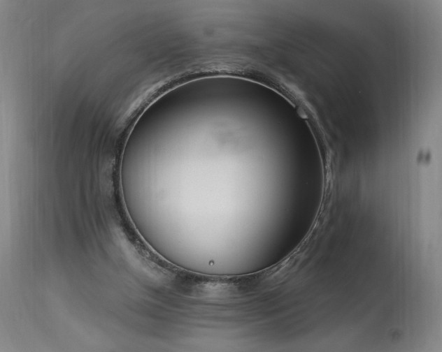 X0000114000154200910021324