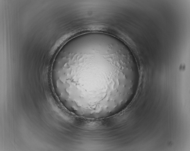 X0000114000155200910021324