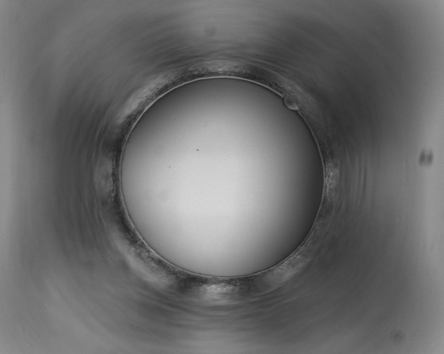 X0000114000158200910021324