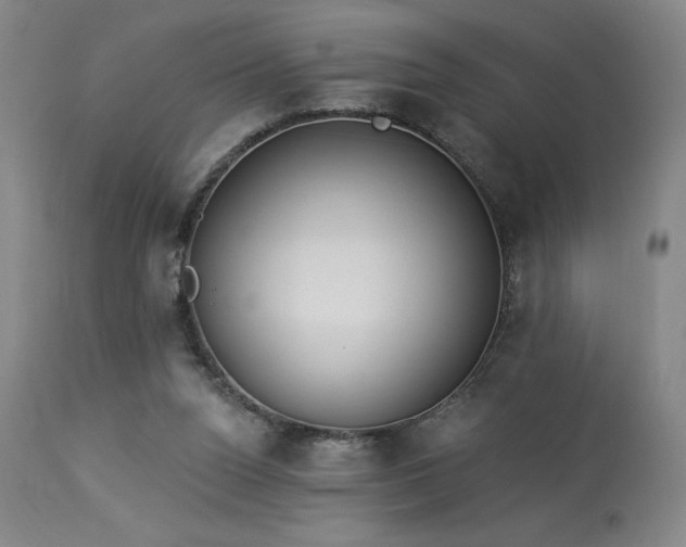 X0000114000160200910021324