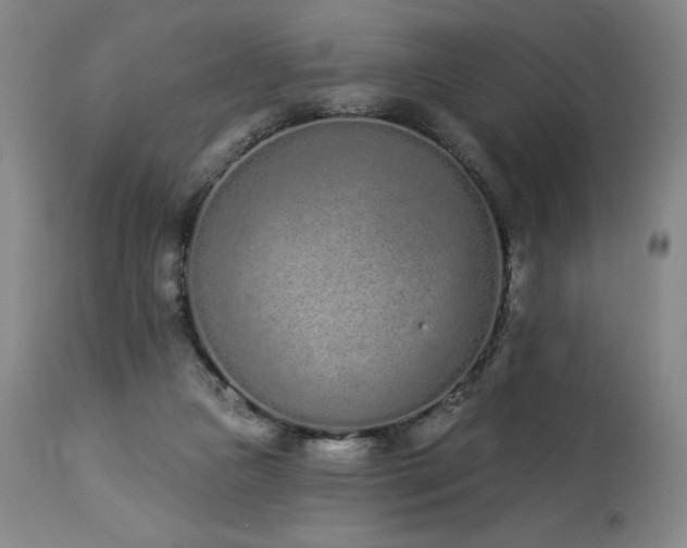 X0000114000161200910021324