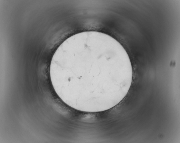 X0000114000162200910021324