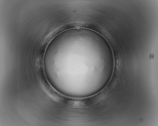 X0000114000165200910021324