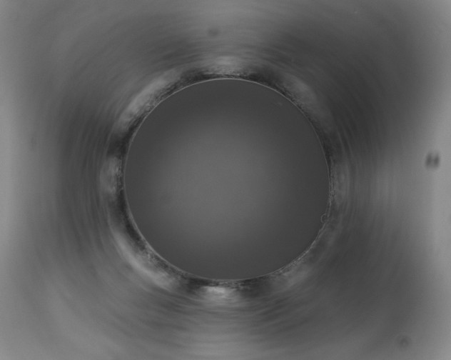 X0000114000167200910021324
