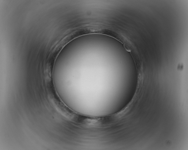 X0000114000170200910021325