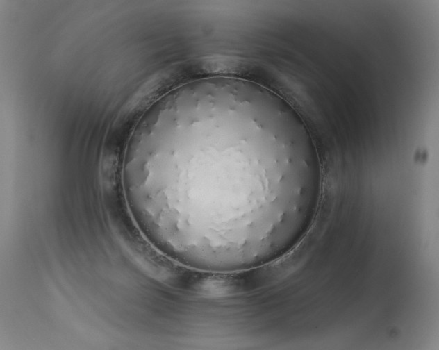 X0000114000171200910021325