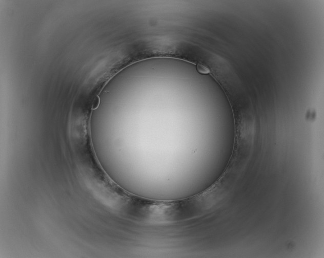 X0000114000172200910021325