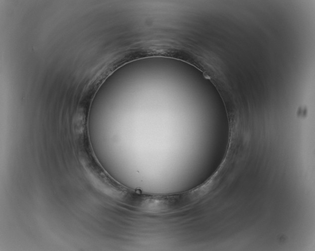 X0000114000174200910021325