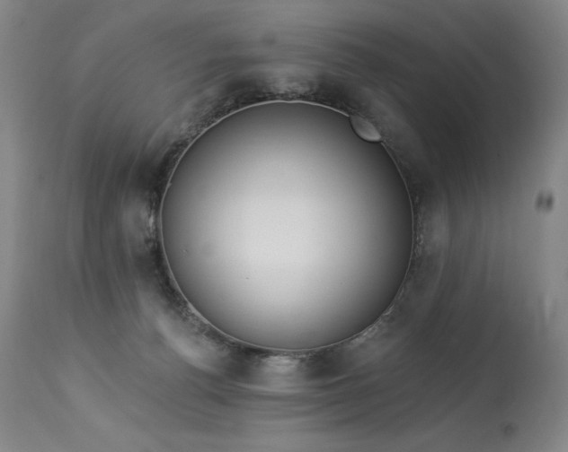 X0000114000176200910021325