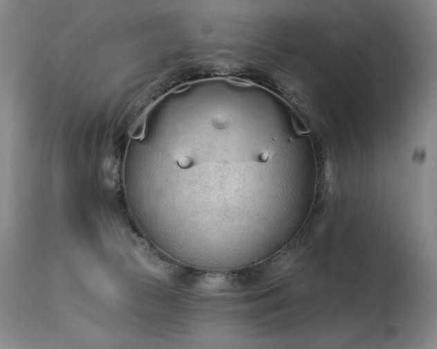 X0000114000177200910021325