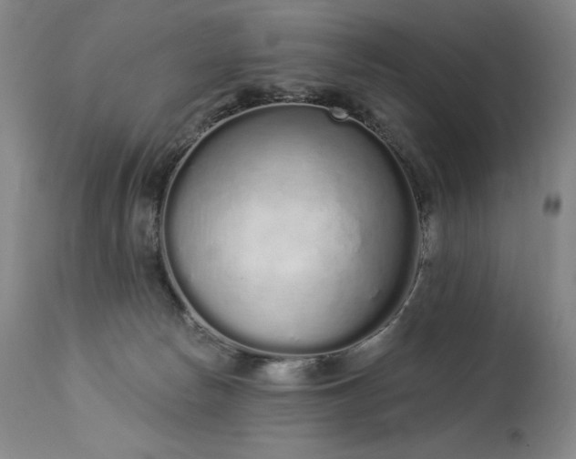 X0000114000178200910021325