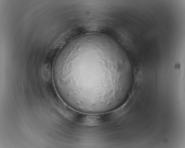 X0000114000179200910021325