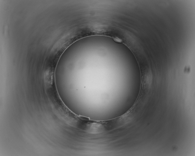 X0000114000180200910021325