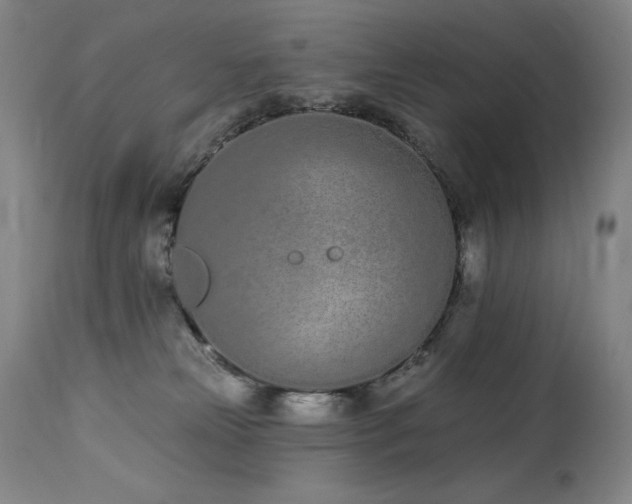 X0000114000181200910021325