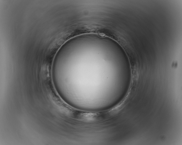 X0000114000182200910021325